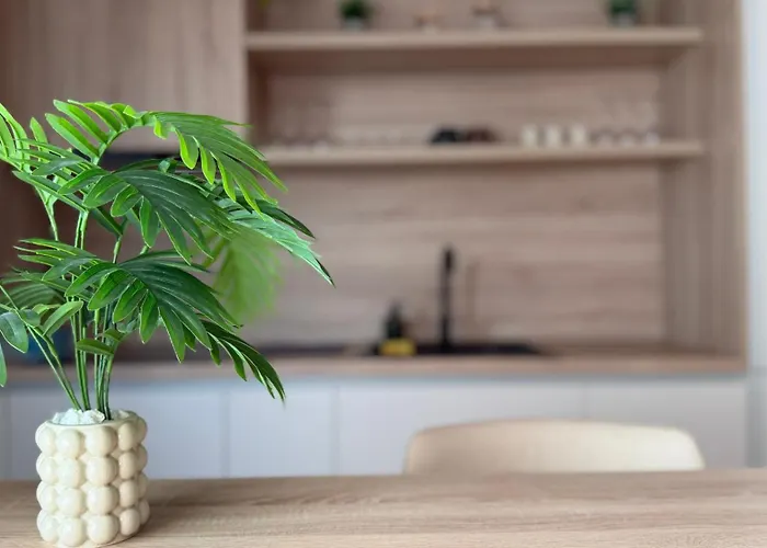 דירה Ella - Of Mara - Powered By Neo 10 טימישוארה